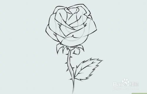 如何画一朵玫瑰花