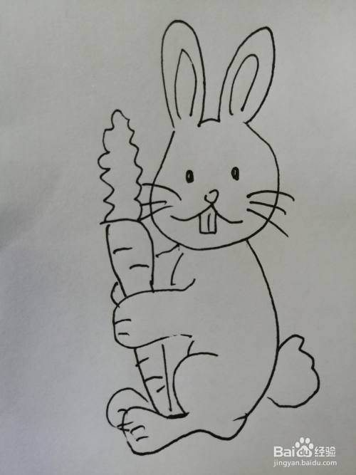 爱吃萝卜的小兔子怎么画