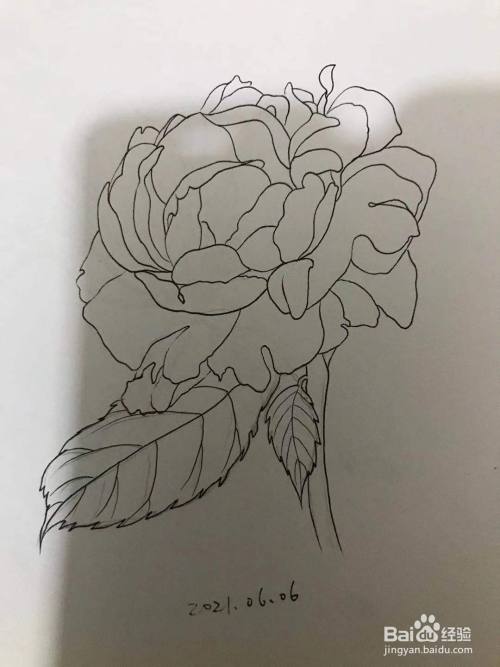 如何画一朵玫瑰花