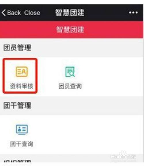 智慧团建手机端怎么审核团员