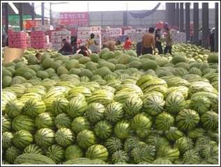 上海最大的水果批发市场在哪（上海最大的水果市场批发价格一览）