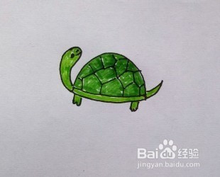 幼儿简笔画:小乌龟的画法