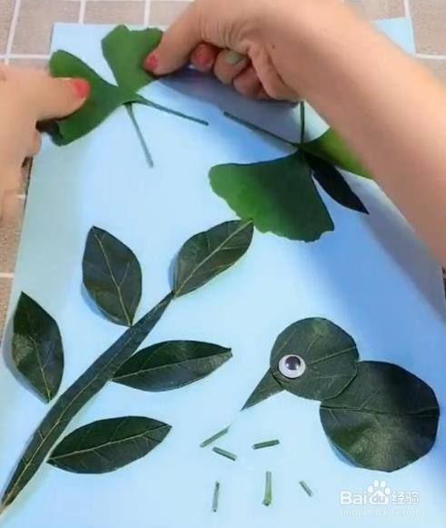 怎样做树叶贴画 ?