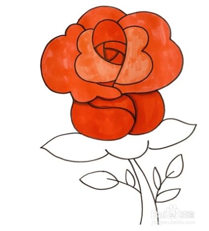 玫瑰花的简笔画画法