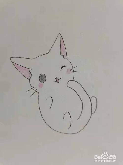 最后,涂上漂亮的颜色,小猫简笔画,你学会了吗?