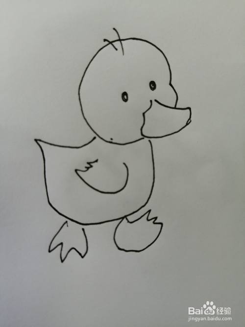 第七步,接着用相同的画法把可爱的小鸭子的另外一只脚画出来.