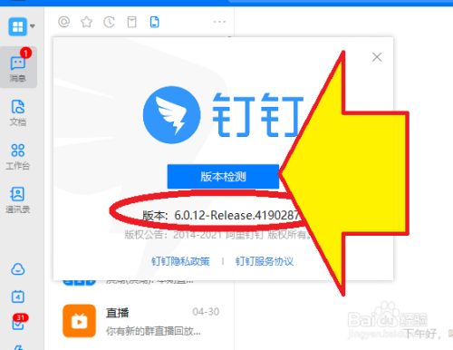 钉钉电脑版怎么查看软件版本?怎么更新