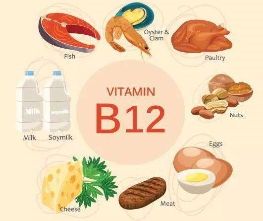 哪些食物含b12-百度经验