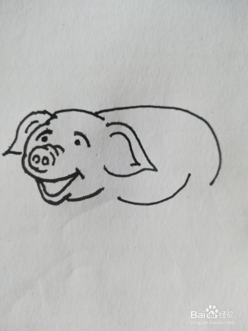 怎么画小猪的简笔画之三