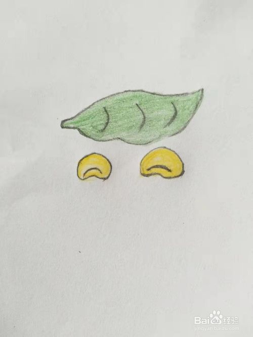 见下图 3 用不规则圆形画一粒小豌豆.见下图 4 再画一粒大豌豆.