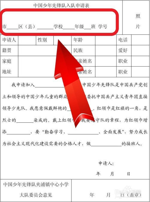 少年先锋队申请表怎么填写