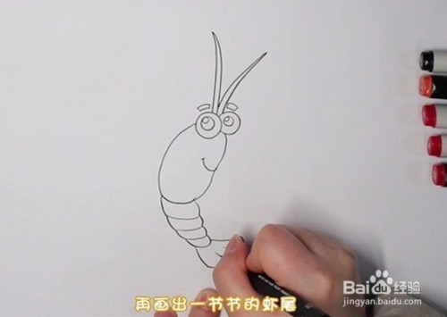 简笔画系列-怎么画虾简笔画