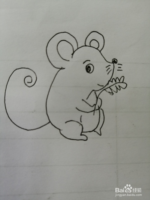 下面,一起来看下简笔画可爱的小老鼠的画法.