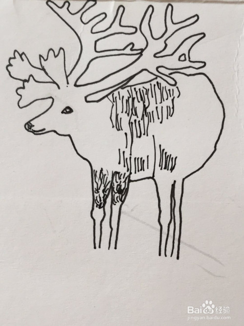 鹿笔画 全网资源