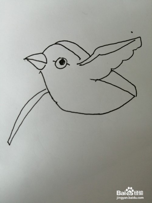 第五步,接着在简笔画小麻雀的身体下面也画出一个小翅膀.