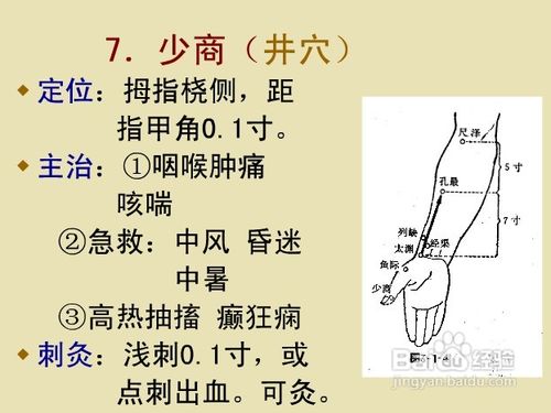 中医经络知识之手太阴肺经图解