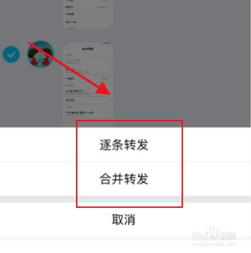 选择逐条转发或合并转发,如图所示