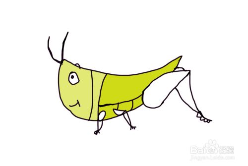 怎么画儿童彩色简笔画卡通动物蝗虫?