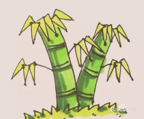 竹子简笔画画法