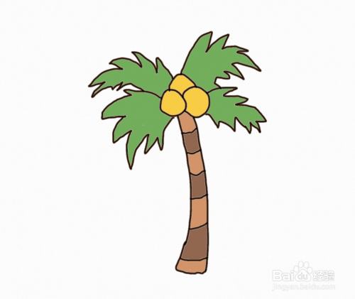 怎么画简笔画椰树?