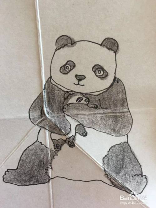 彩铅画教程之大熊猫的画法