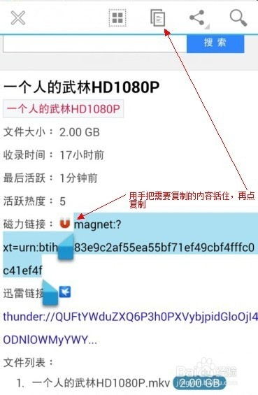 磁力搜索bt土豆使用方法