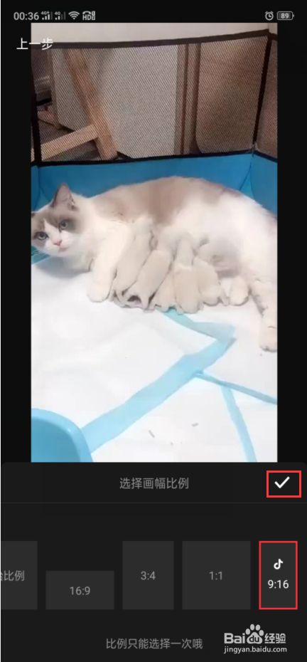 手机视频怎么画圈标记