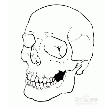 如何画一个头骨?