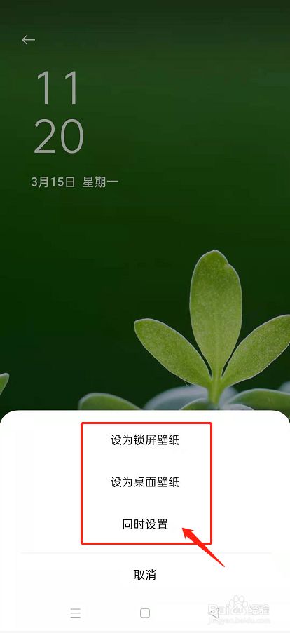 oppo手机怎么设置手机壁纸?