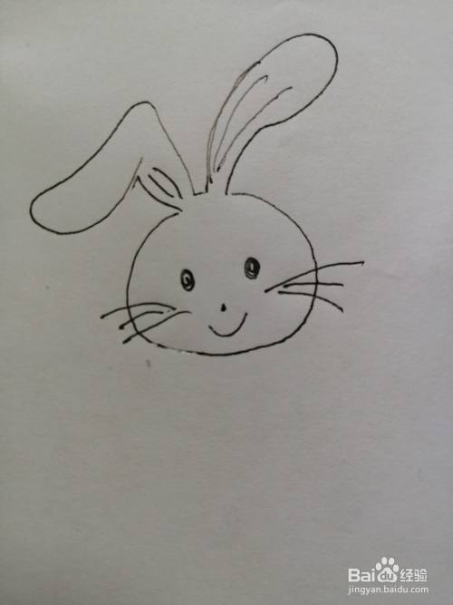 第四步,接着我们继续画出可爱的小兔子的鼻子和微笑的小嘴巴.