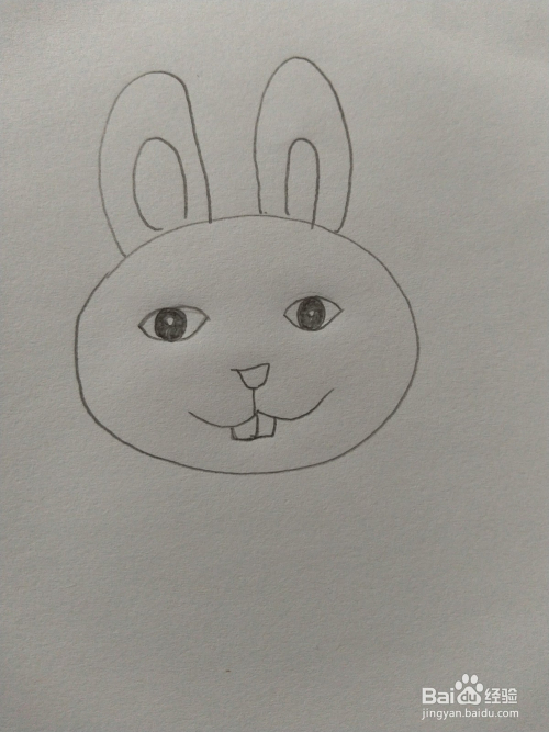 幼儿园小朋友学简笔画-可爱的兔子