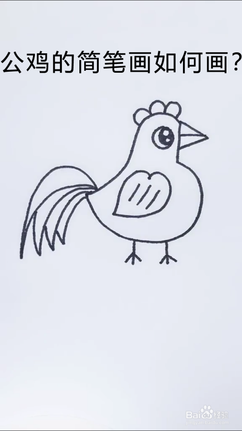公鸡的简笔画如何画?