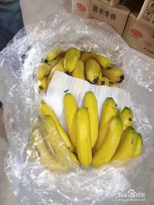 香蕉如何催熟变黄