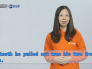 teeth什么意思