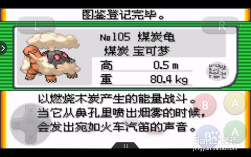 口袋妖怪是一款经典游戏,里面有很多神奇的宝可梦,那么煤炭龟在哪抓呢