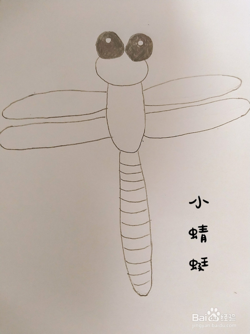 幼儿园小朋友学画简笔画-小蜻蜓来了