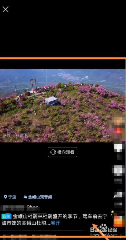 金峨山杜鹃花攻略