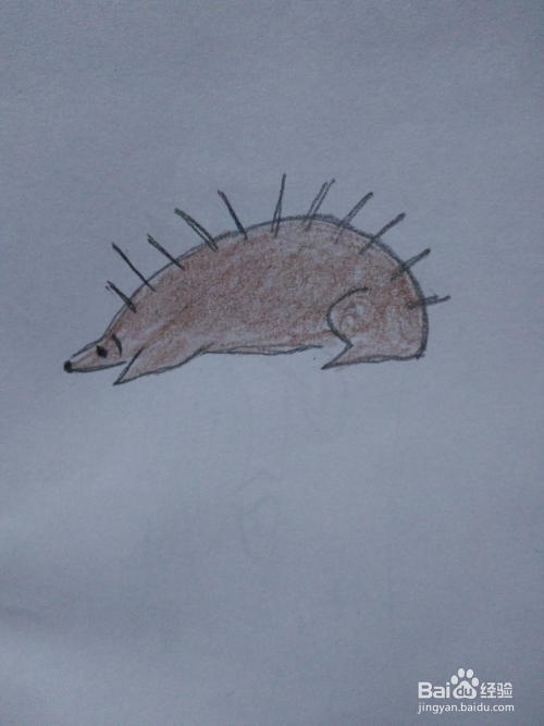 如何画刺猬的简笔画?