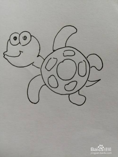 简笔画可爱的小乌龟就画好了.
