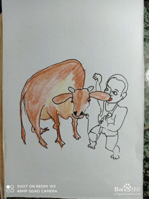 画出一个放牛的小孩的身体部分,他正牵着牛.