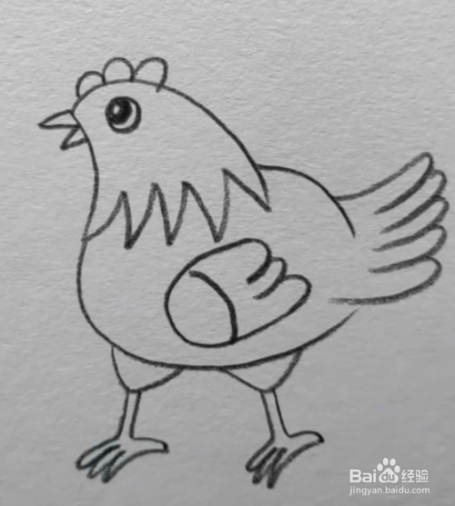 简笔画母鸡怎么画呢