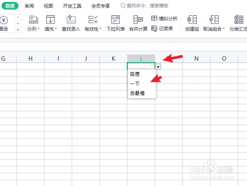 wps表格下拉选项怎么添加