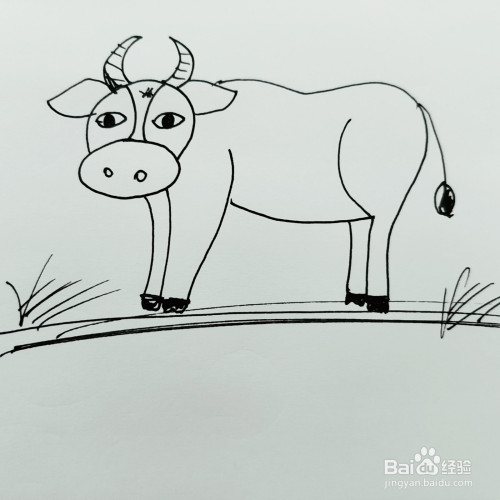如何来画一只卡通老牛简笔画呢?