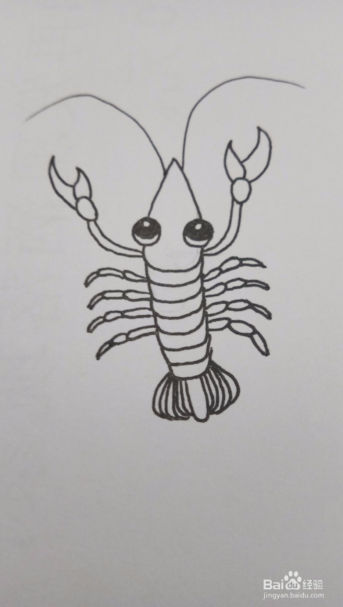小龙虾简笔画怎么画