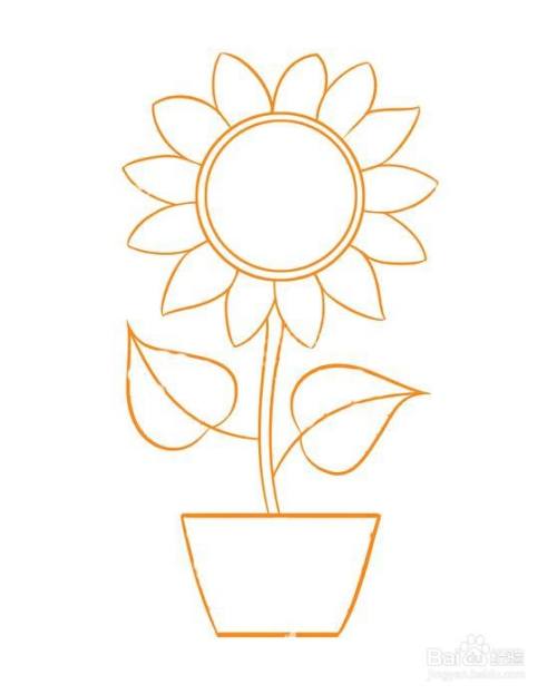 儿童简笔画-可爱的盆栽太阳花的简笔画法