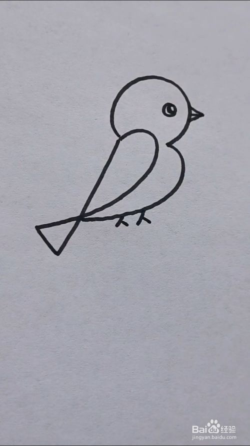 如何画枝头小鸟?