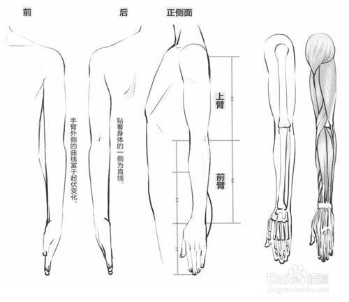 动漫人物手臂怎么画?