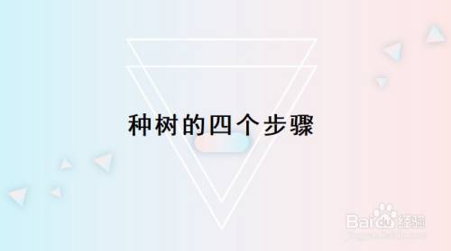 种树的四个步骤
