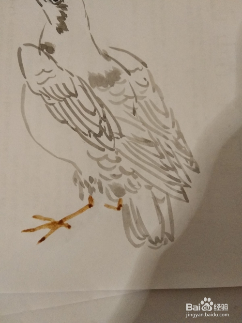 如何用毛笔画信鸽?