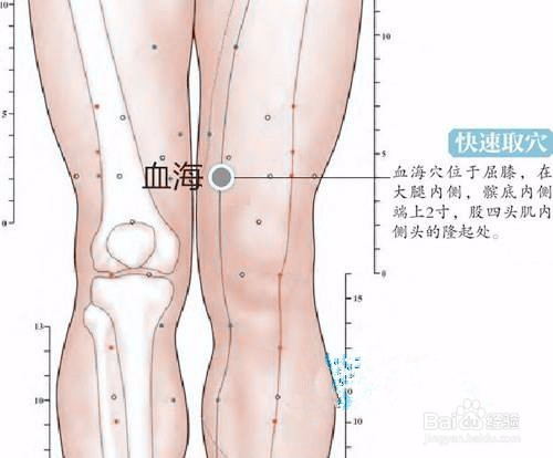 血海穴的位置:取该穴时应屈膝,在大腿内侧,髌底内侧端上2寸,当股四头